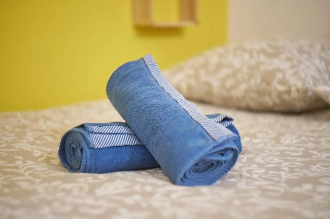 ליון The Little Valmy-Studio Cosy 2 Pers-Vaise 0*,  צרפת